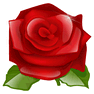 Rose icon