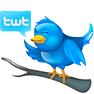 Tweet icon