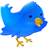 Twitter Bird icon