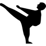 Karate icon