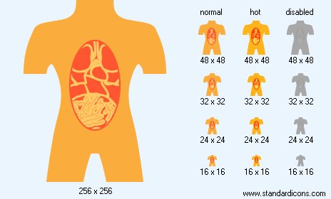 Anatomy Icon Images