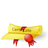 Certification icon