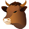 Bull Head icon