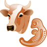 Cow Embryo icon