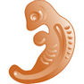 Embryo icon