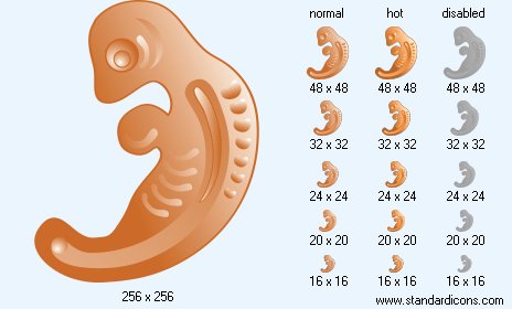 Embryo Icon Images