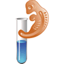 In Vitro V2 icon