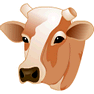 Polled icon