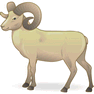 Ram icon