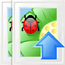 Upload Images icon