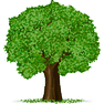 Tree icon